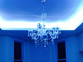 bluelights