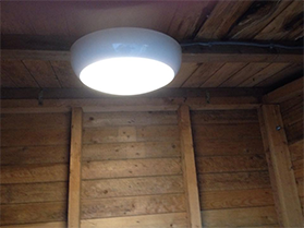 lightshed